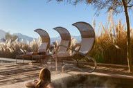 Sundrenched Sanctuary