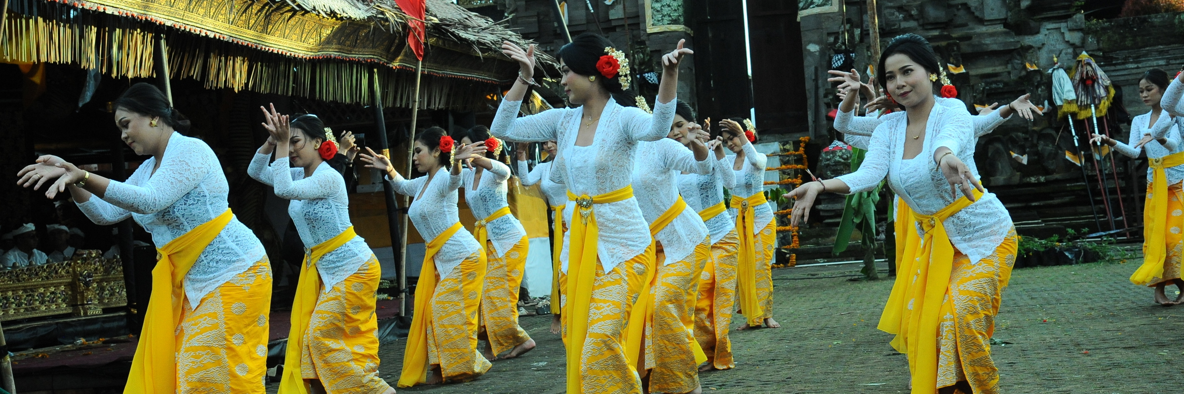 Balinese women in yellow sarongs performing a traditional temple dance during a ceremonial procession in Indonesia. 