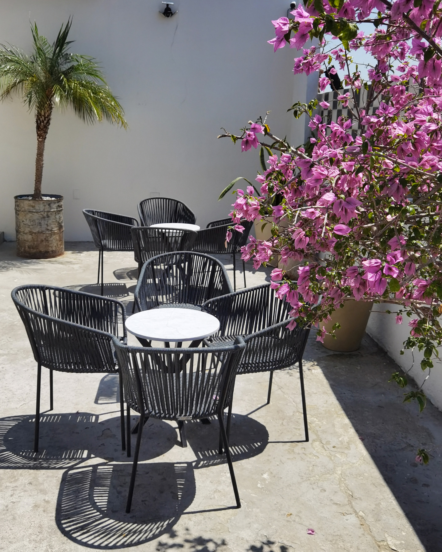 Hotel Milo Boutique Puebla Detalles Terraza Familia