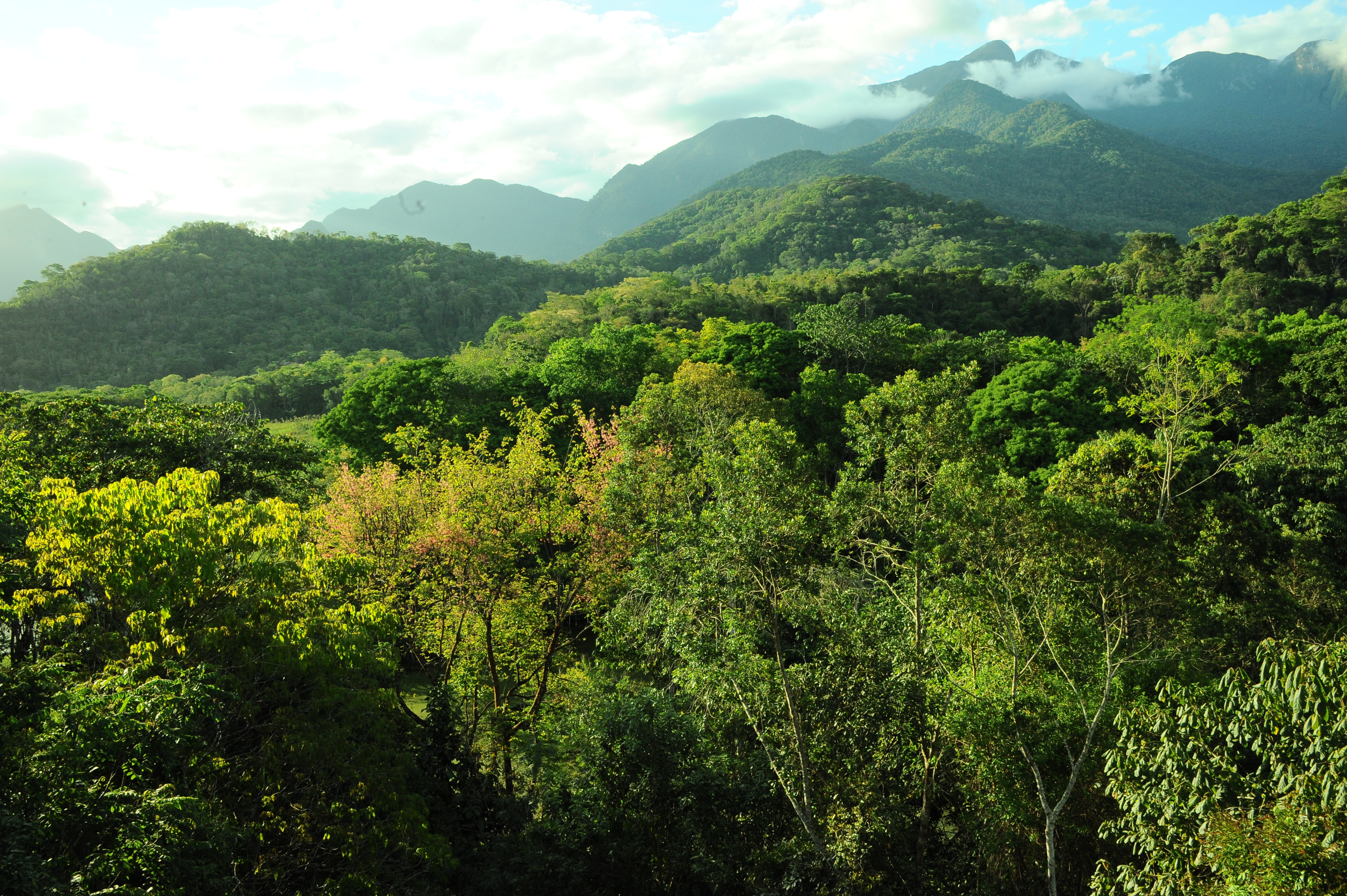 Three Peaks State Park 