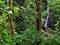 Sendamonteverde Monteverde 02