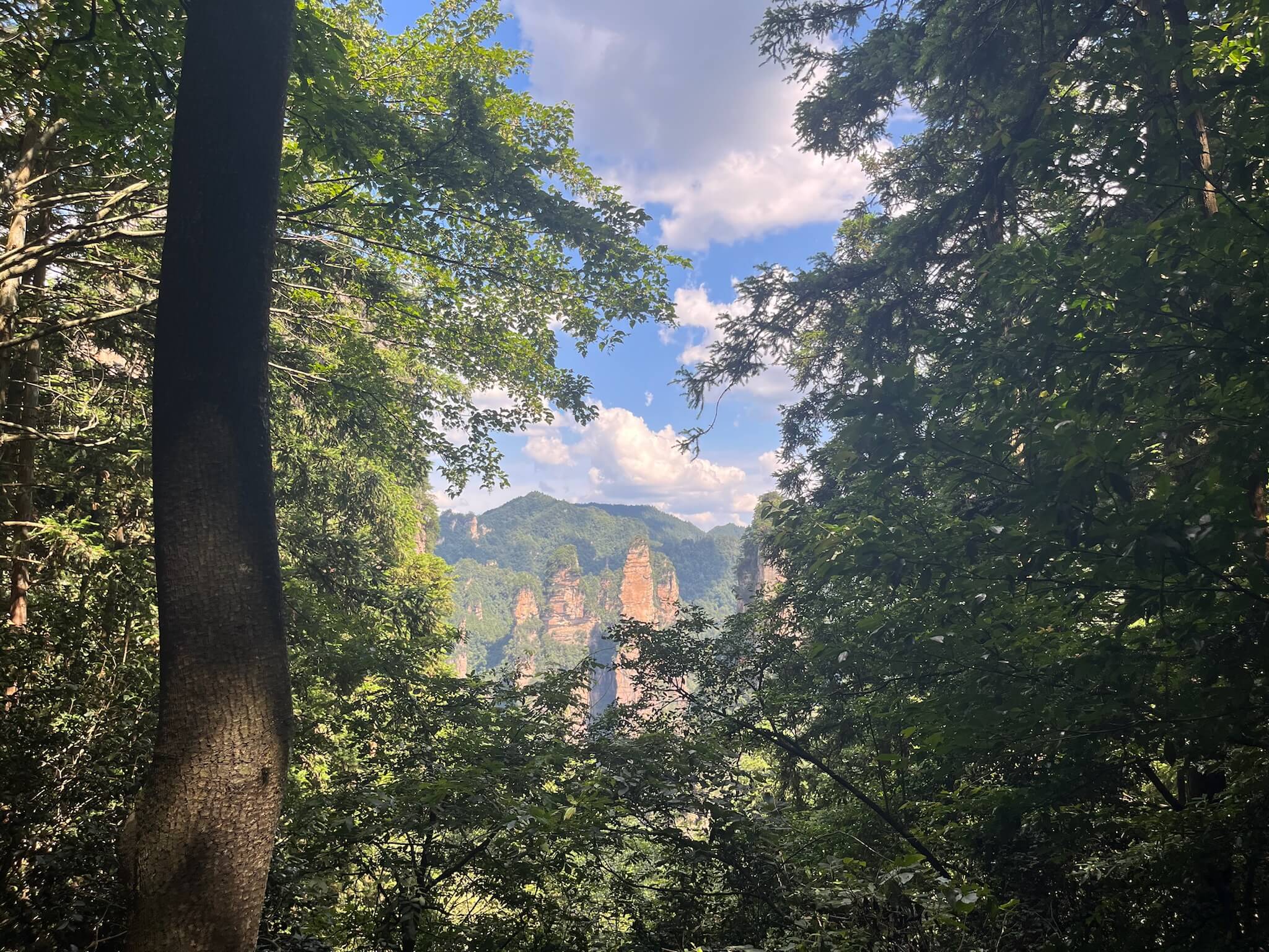 Avatar View Of 5 Peaks