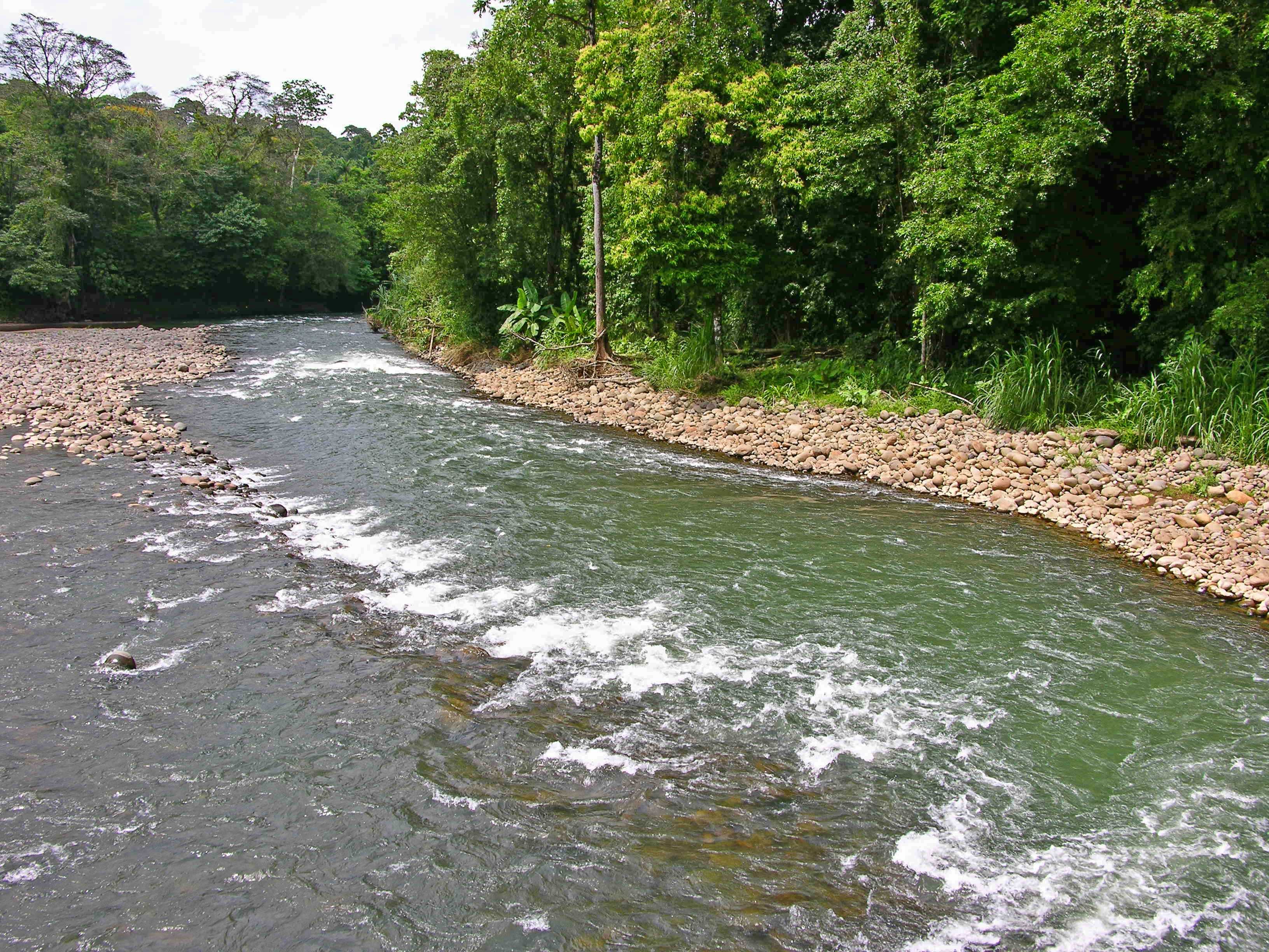 Sarapiqui River 02