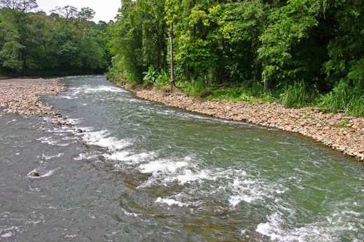 Sarapiqui River 02