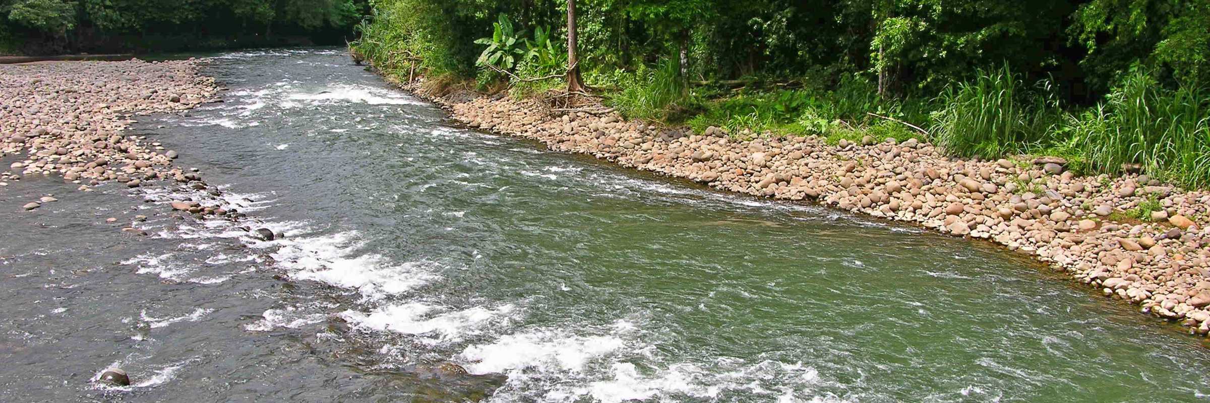 Sarapiqui River 02