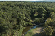 Bosque Zonas