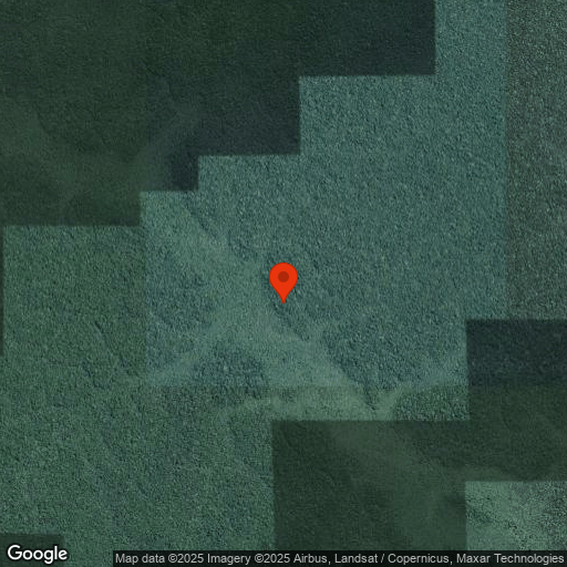 Map of Tree Climbing
