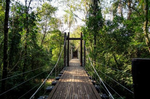 Gallery Iguazu 3