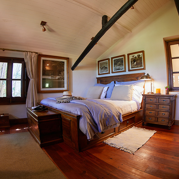 Gallery Fancy 7