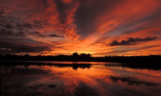 5129 Amazon Sunrise