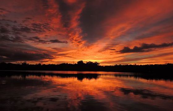 5129 Amazon Sunrise