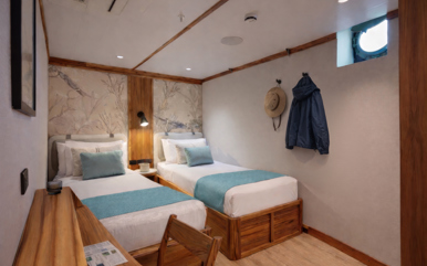 Evolution Twin Deluxe Stateroom