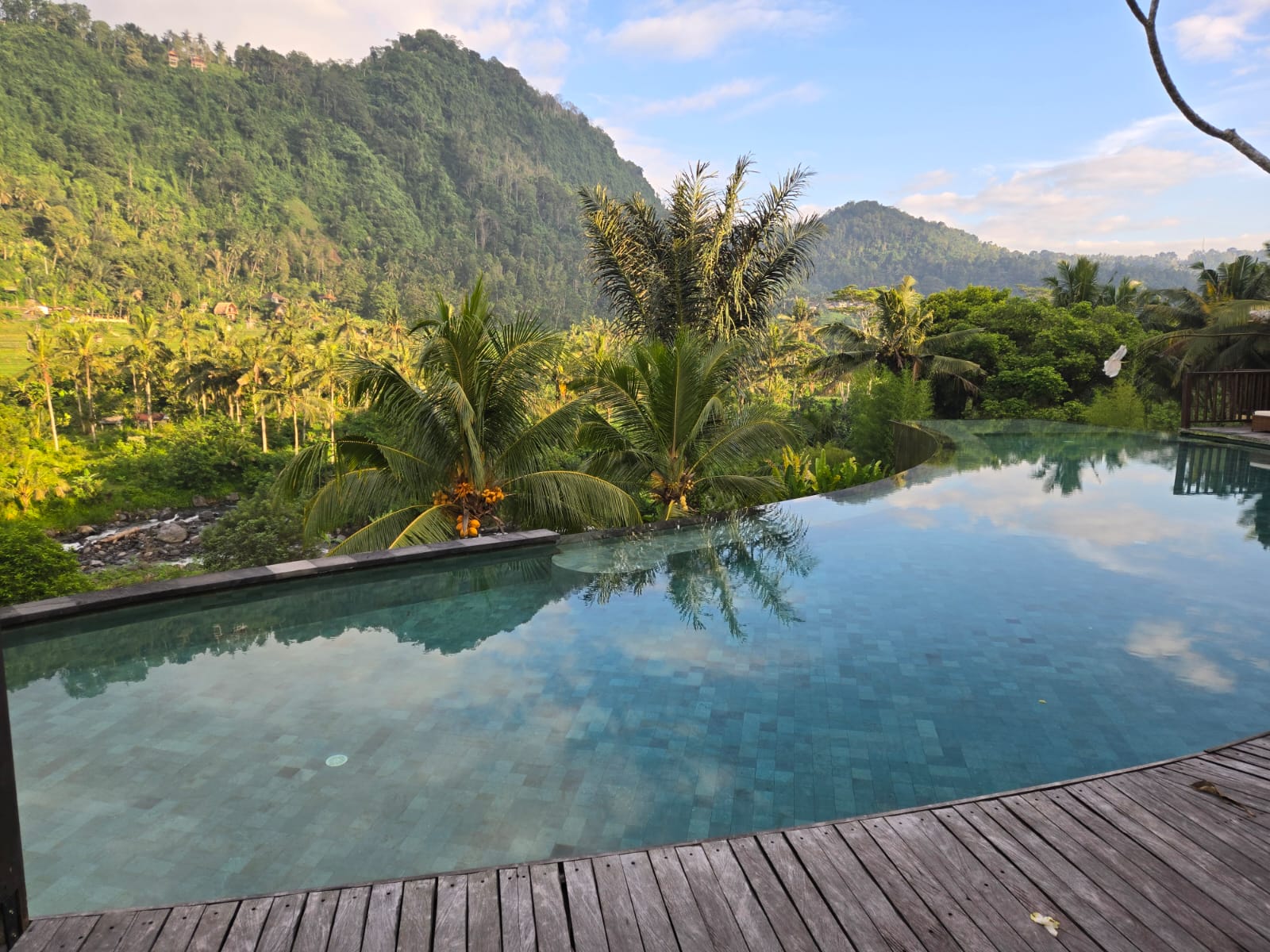 Infinity pool at an eco-luxury lodge in Indonesia, overlooking lush palm trees and forested mountains under a serene blue sky. 