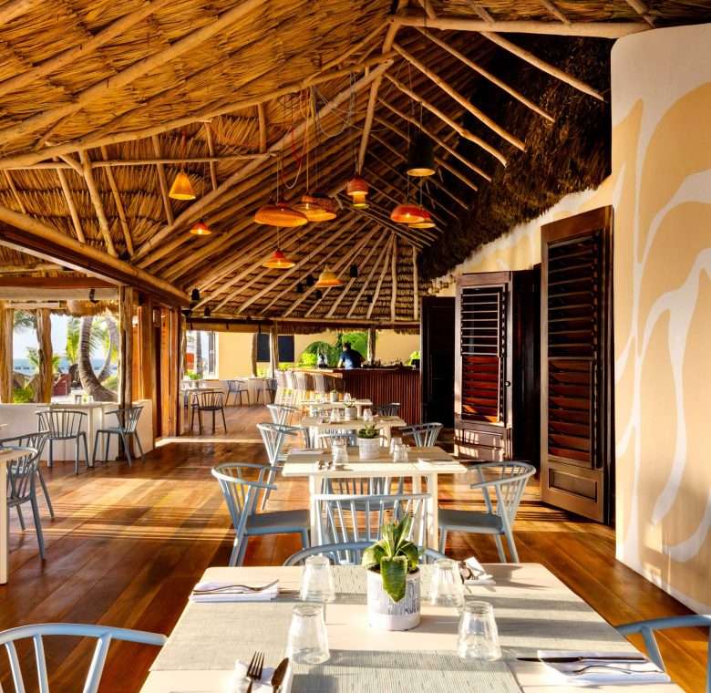 MATACHICA Web Photo Dininglandingpage Mambobistro 780X760