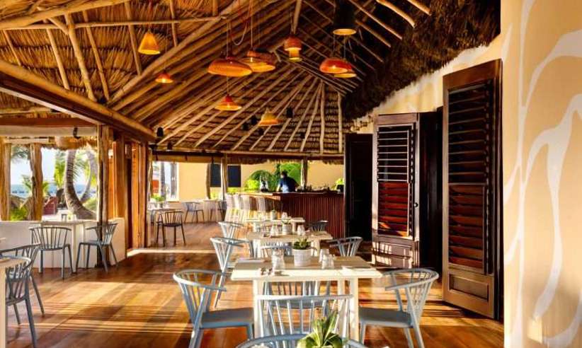MATACHICA Web Photo Dininglandingpage Mambobistro 780X760