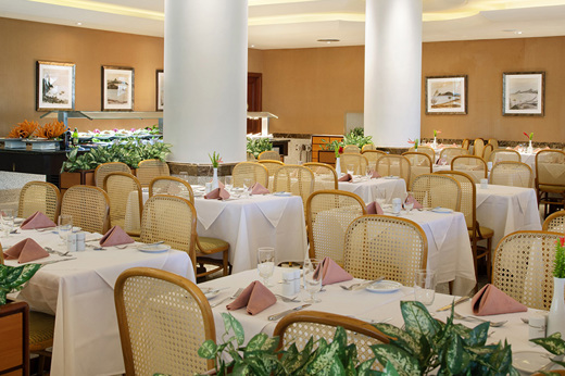 Excelsior Gastro Grande 6Ilgavs