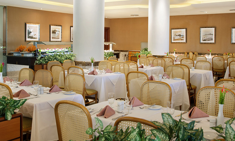 Excelsior Gastro Grande 6Ilgavs