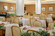 Excelsior Gastro Grande 6Ilgavs