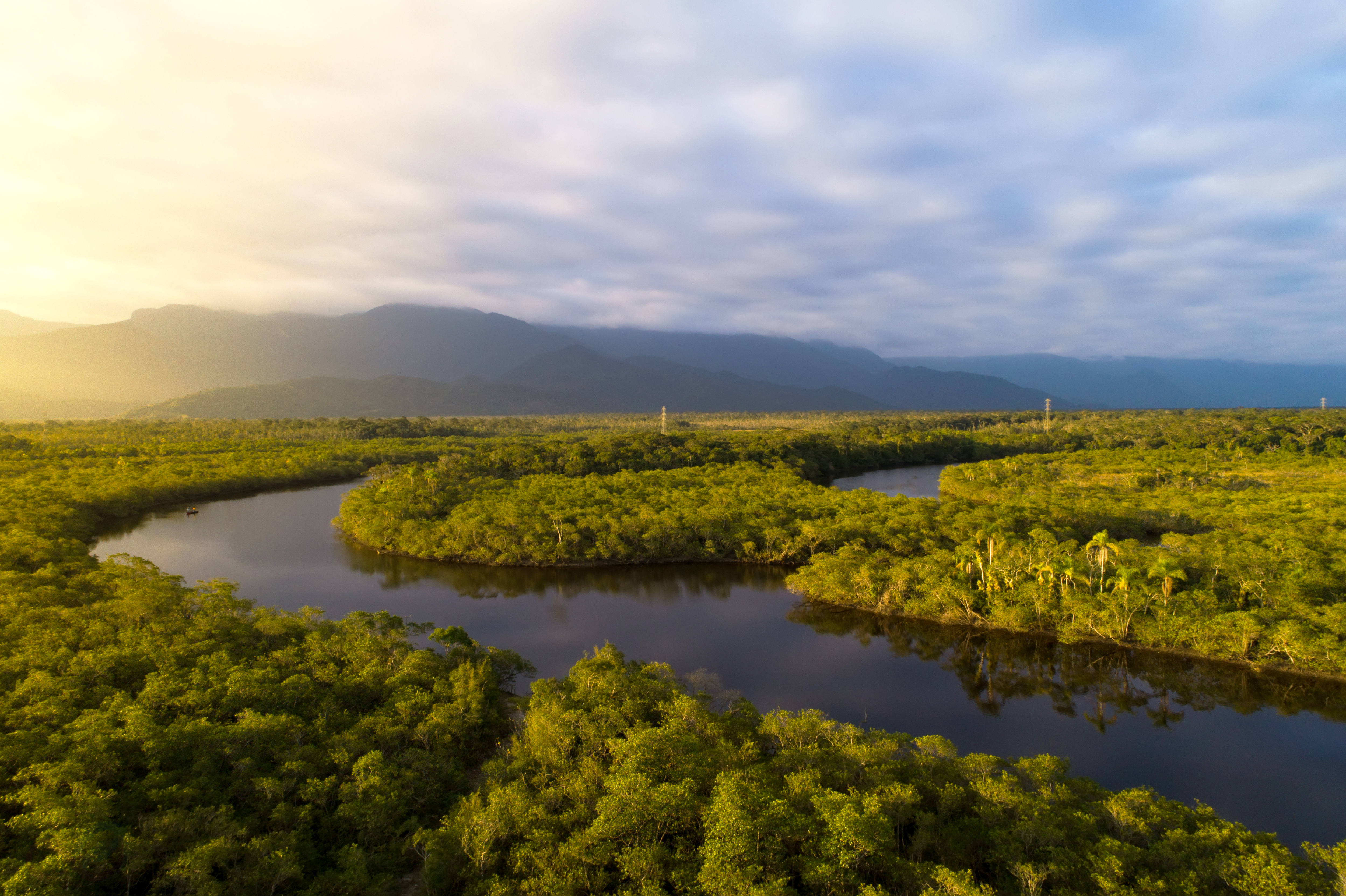 Amazonas 2