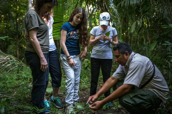 Brr Activities Guided Medicinal Plant Trail