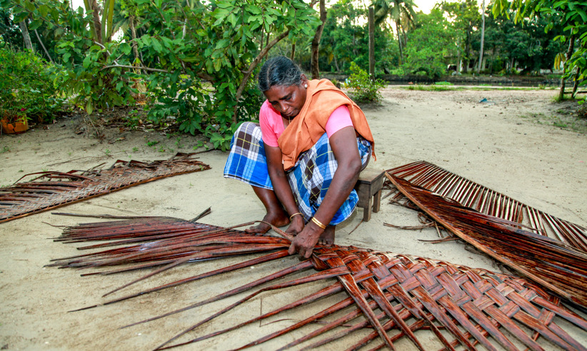 Coconut Palm Frond Weaving (2)