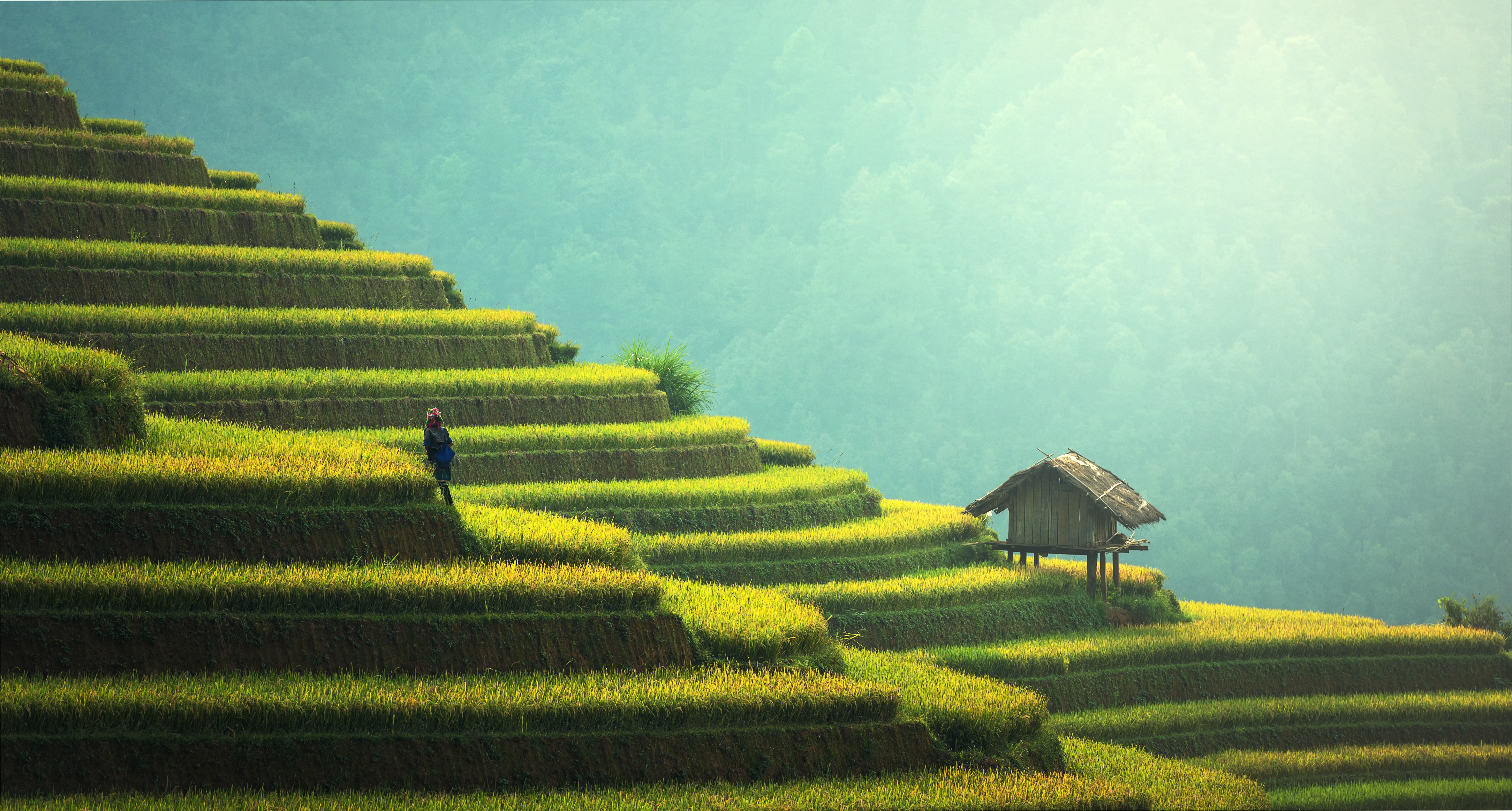 Agriculture Guilin WOW