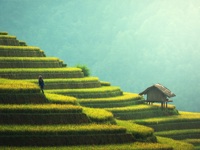 Agriculture Guilin WOW