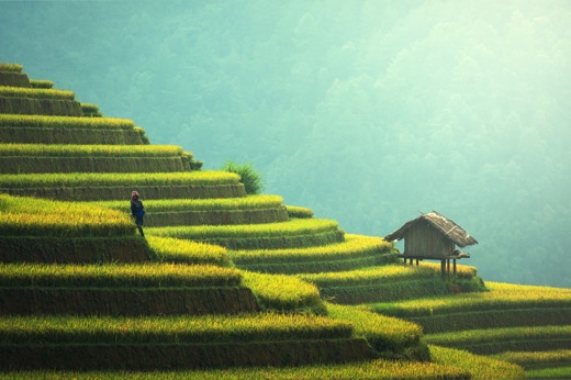 Agriculture Guilin WOW