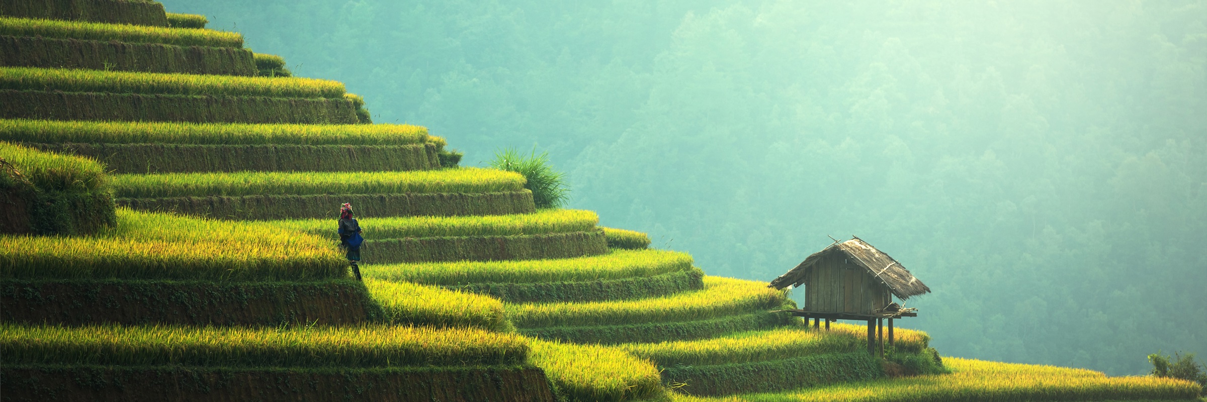 Agriculture Guilin WOW
