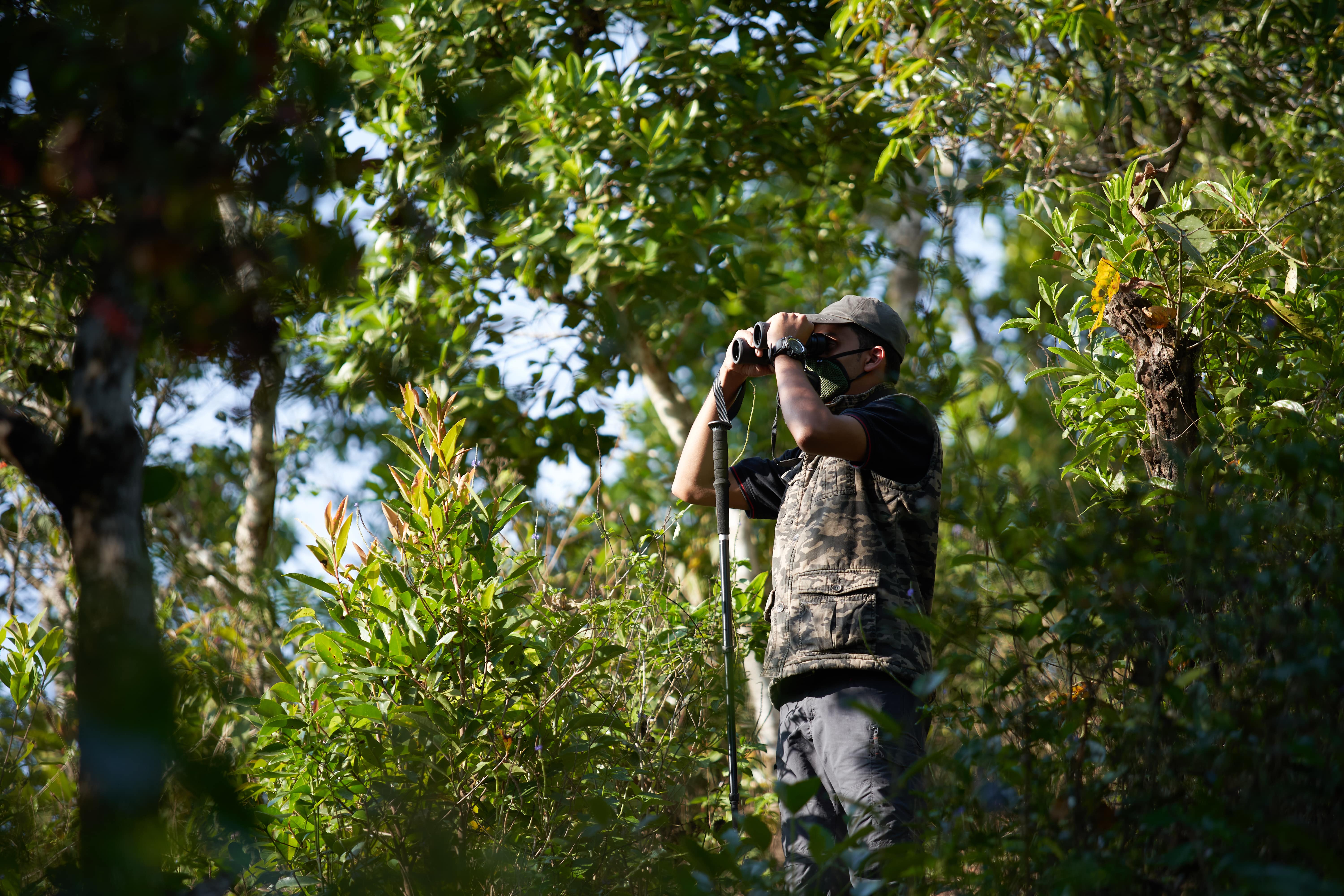 Bird Watching Coorg Wilderness Resort & Spa (2)