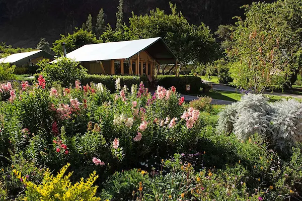 Group Tent Flowers