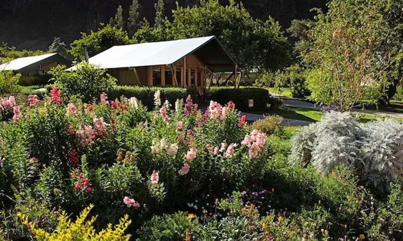 Group Tent Flowers