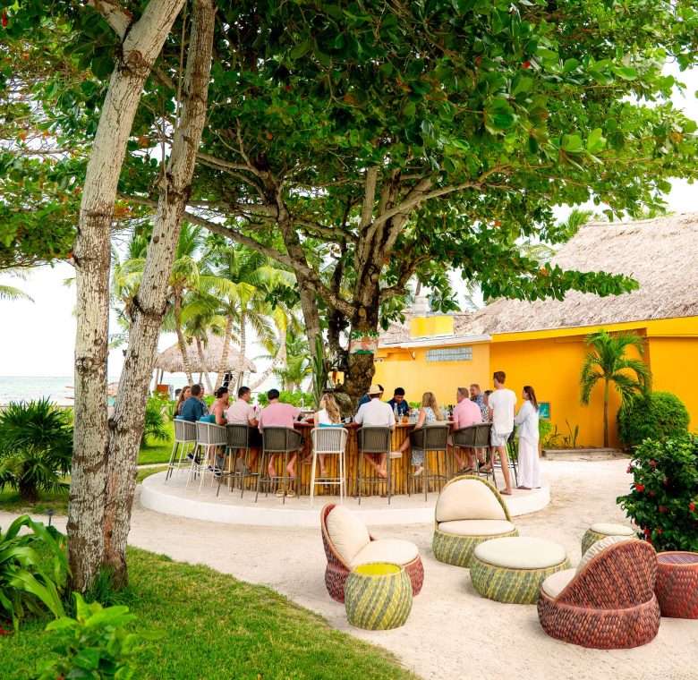 MATACHICA Web Photo Dininglandingpage Dannystreebar 780X760