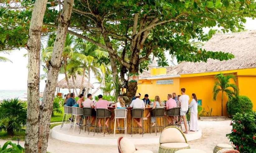 MATACHICA Web Photo Dininglandingpage Dannystreebar 780X760