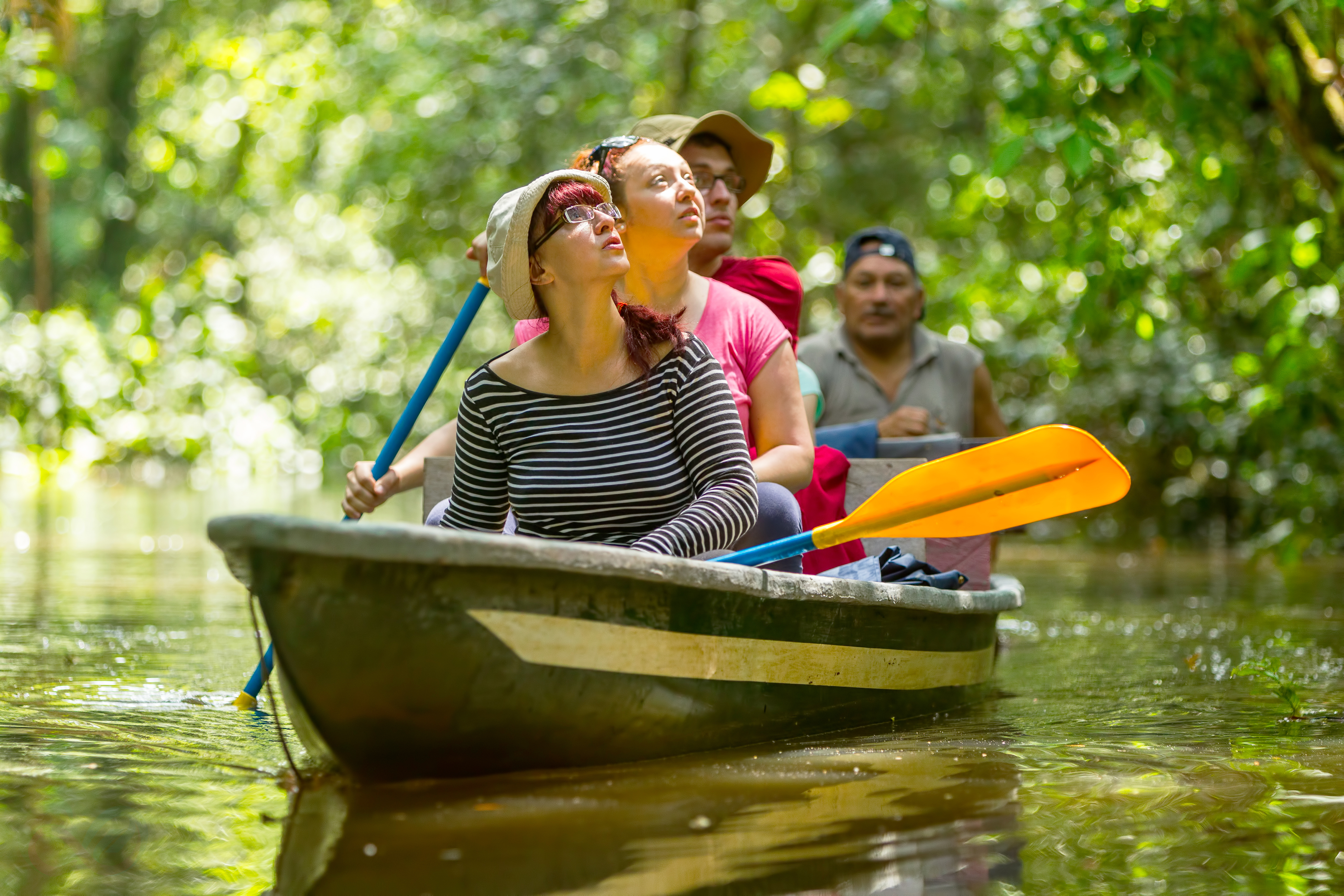 Amazonas 12