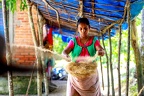 Coconut Processing