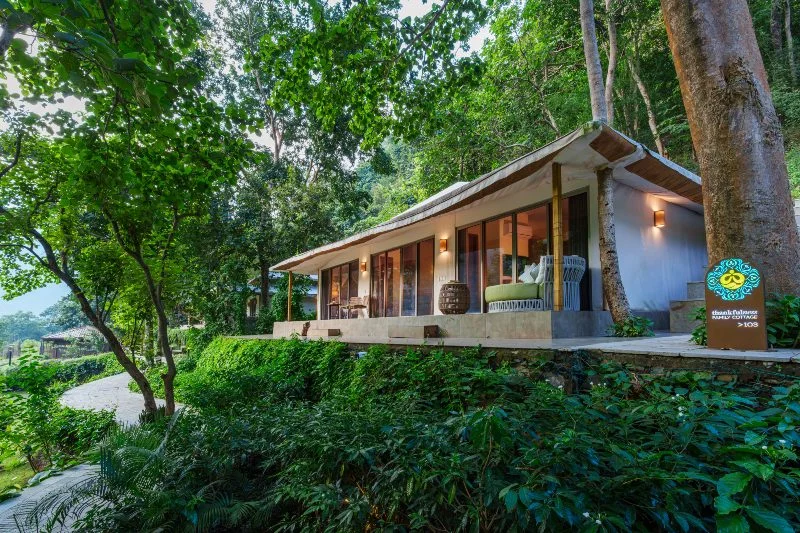 Family Cottage 5