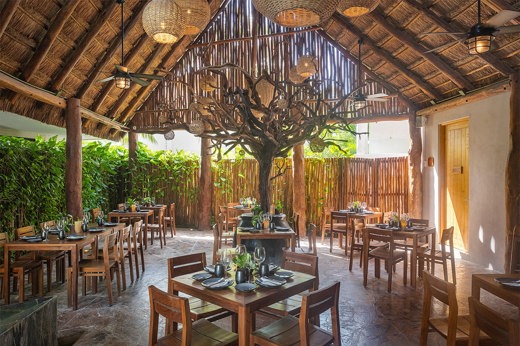 Restaurant Tznot Alea 01