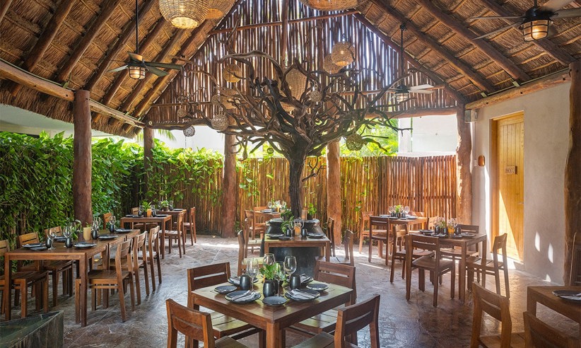 Restaurant Tznot Alea 01