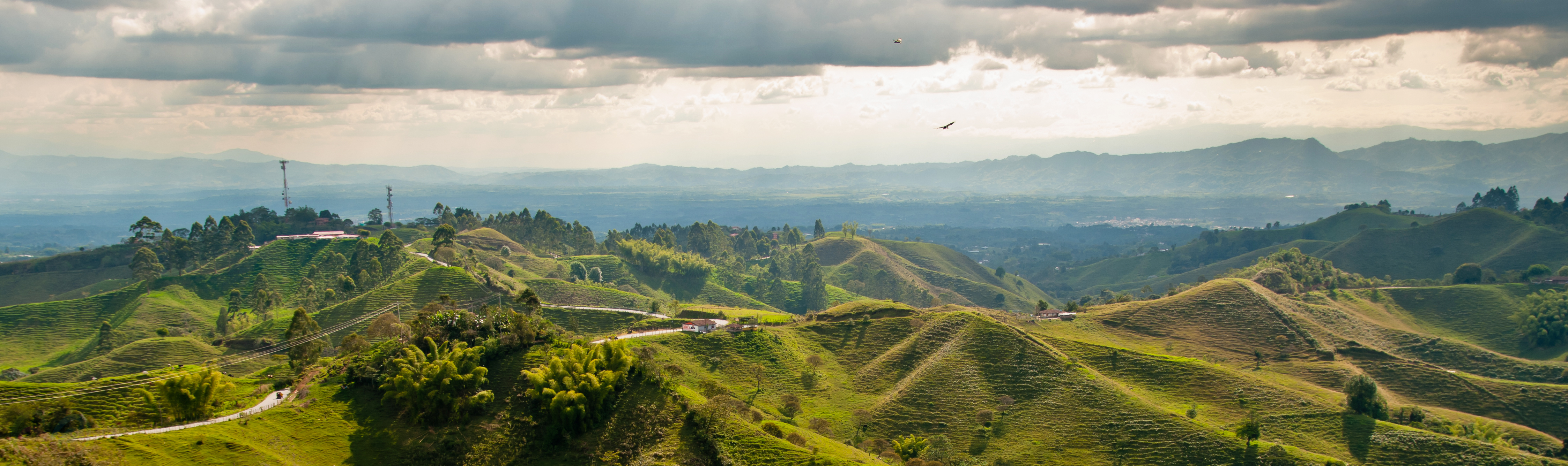 Coffee Region 2