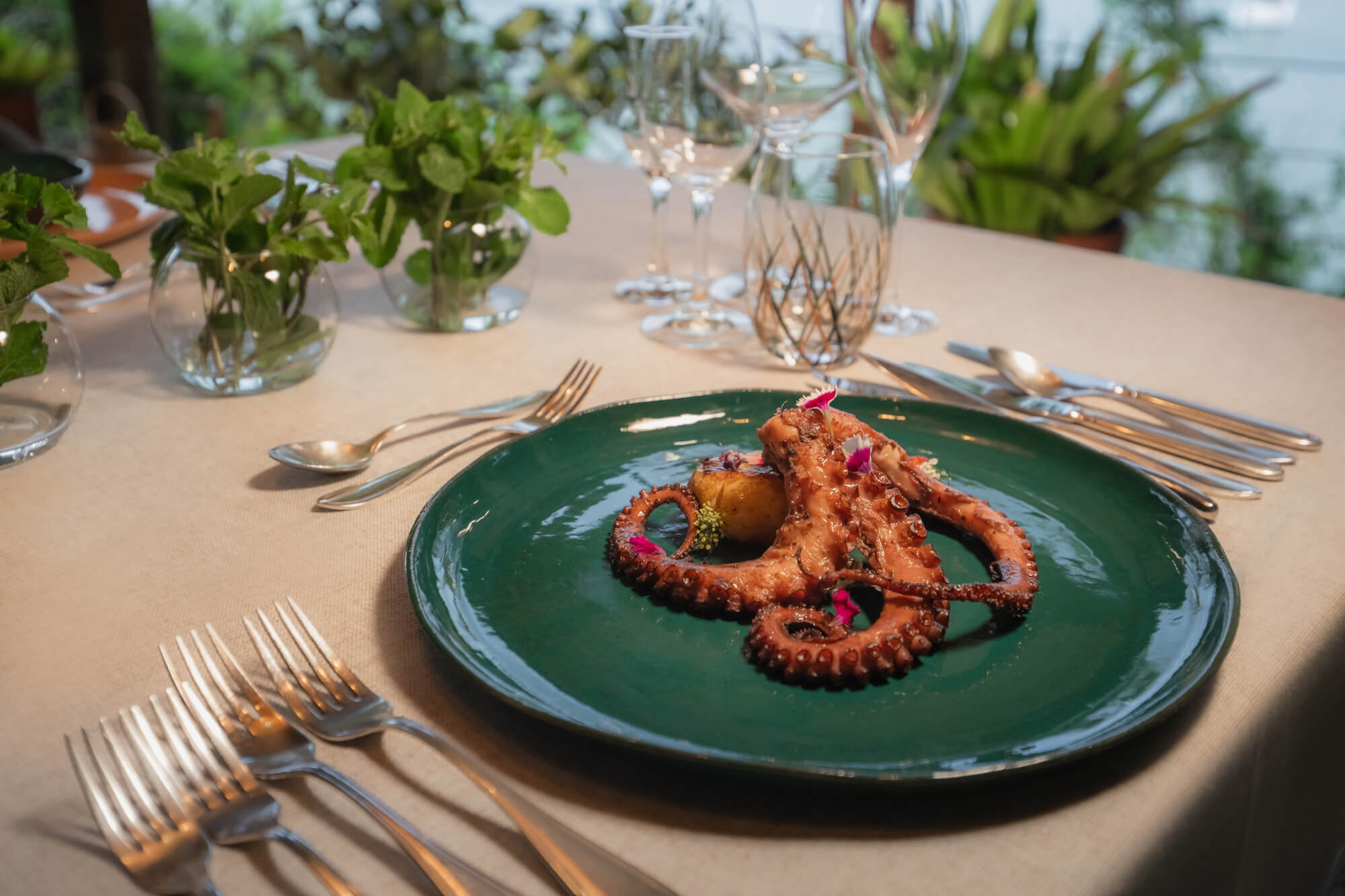 Dining Octopus