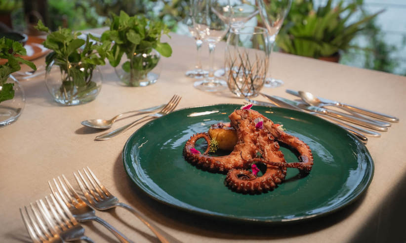 Dining Octopus
