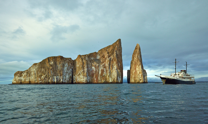 Evolution Kicker Rock 2