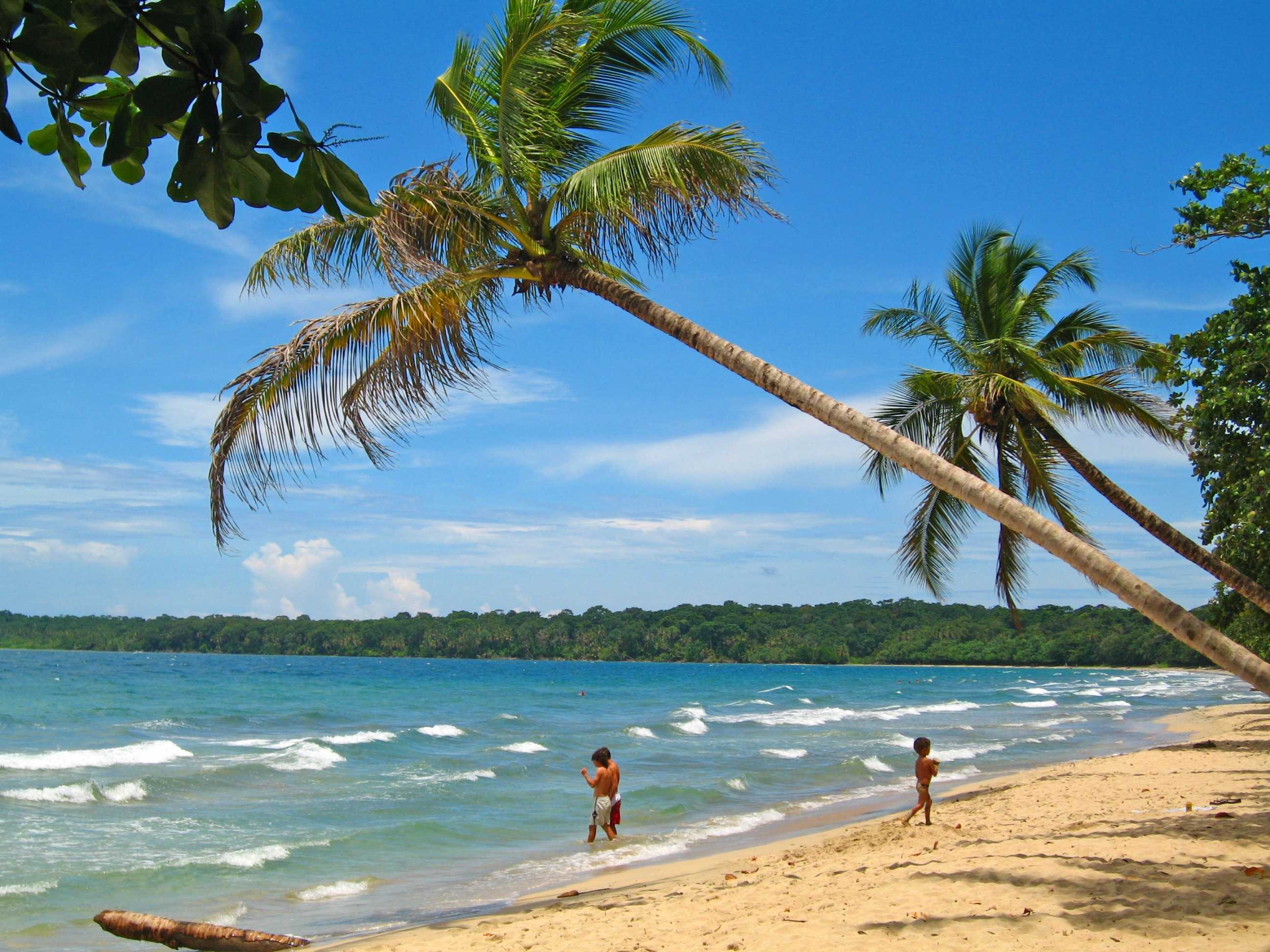 Cahuita 09