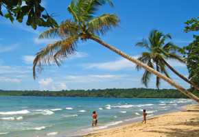 Cahuita 09