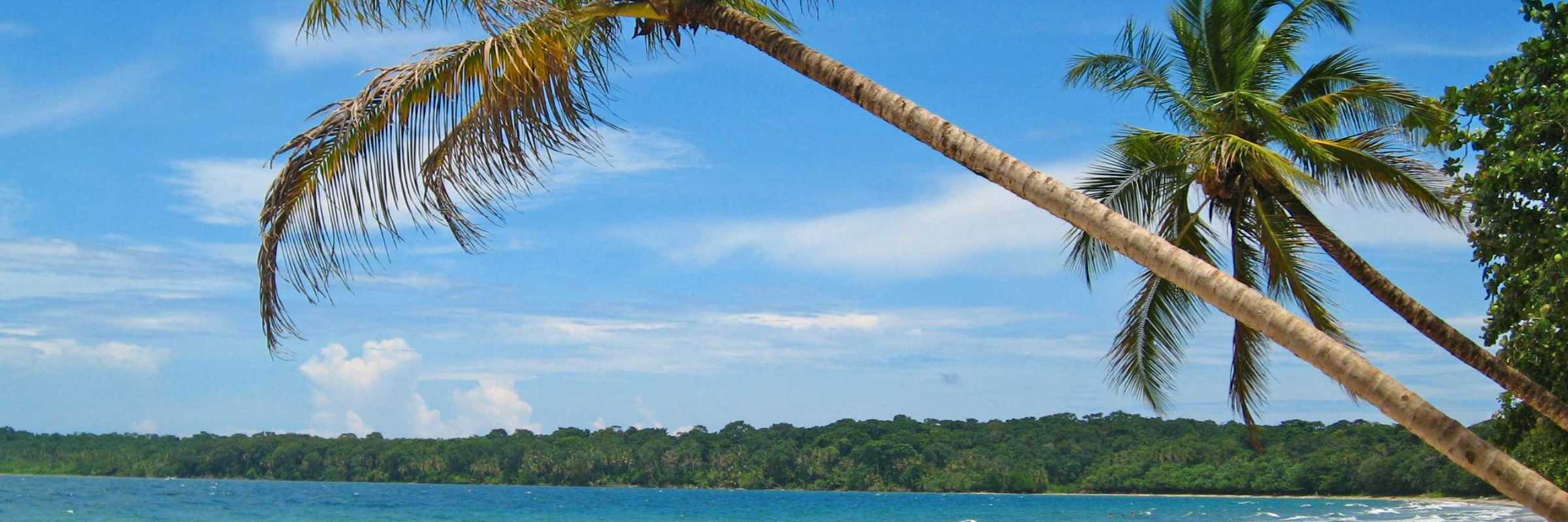 Cahuita 09