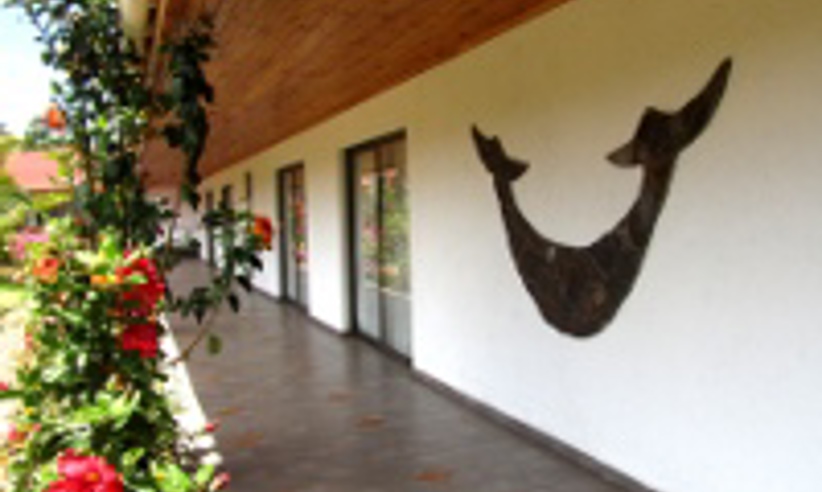 Gallery 10