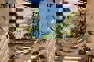 Picinguaba Suite 5
