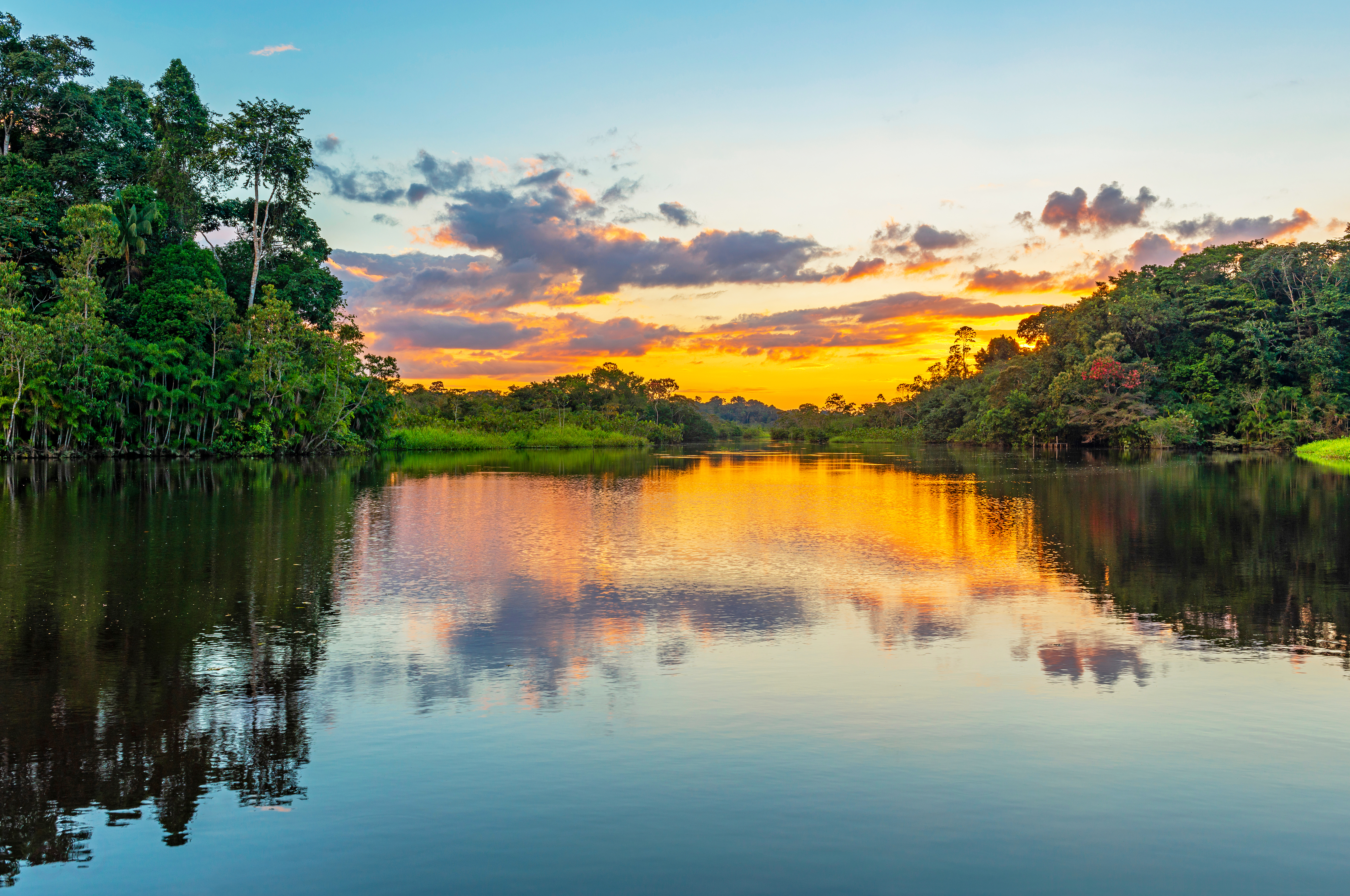 Amazonas 1