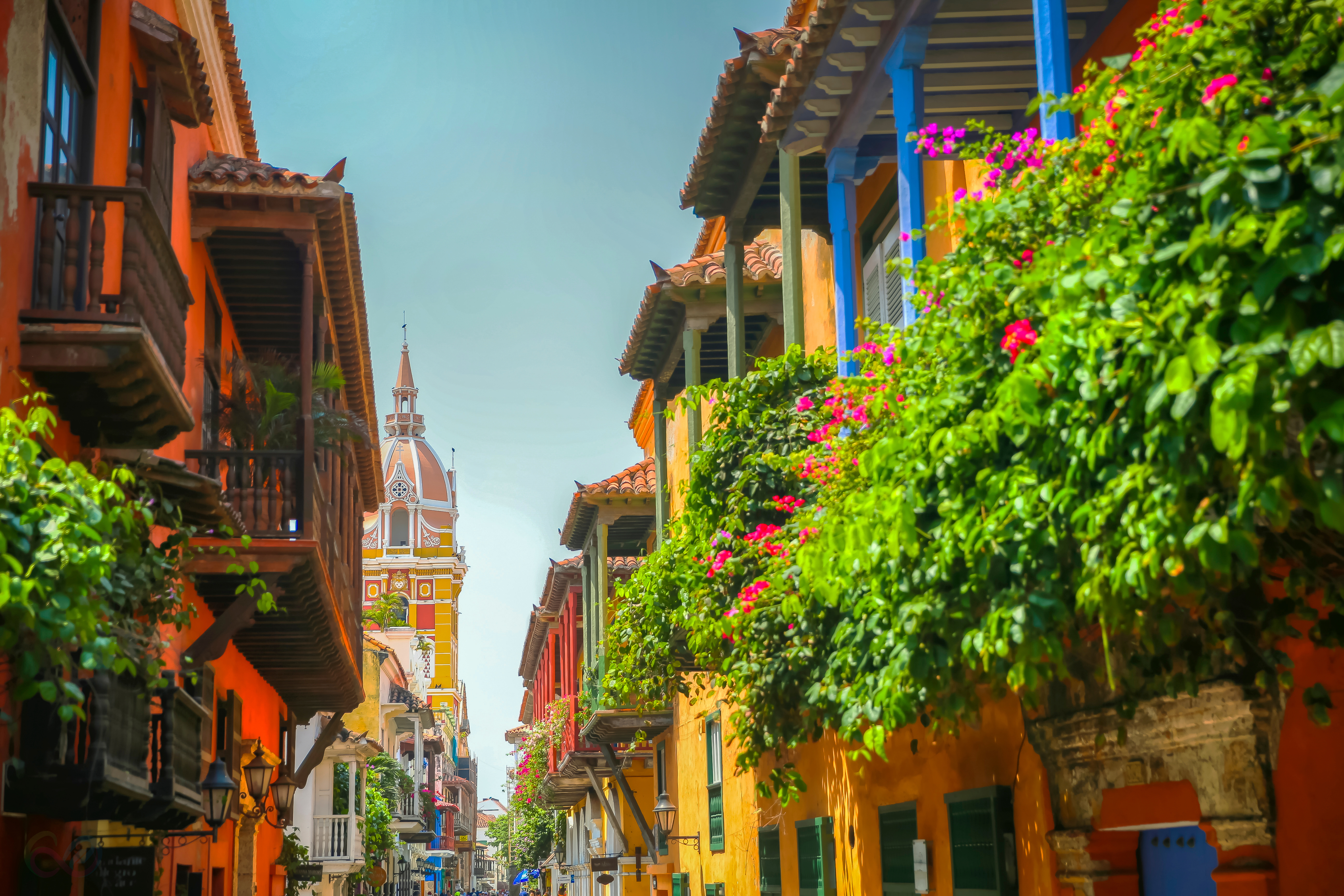 Cartagena 5